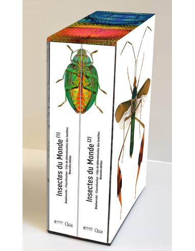 Insectes du monde