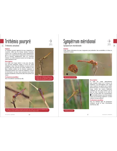 Les libellules de Dordogne et départements limitrophes