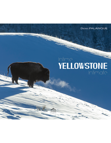 Intime Yellowstone Intimate