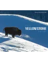 Intime Yellowstone Intimate