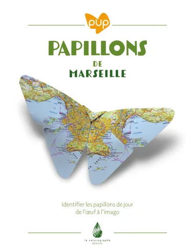 Papillons de Marseille - Identifier les papillons de jour de l'oeuf à l'imago