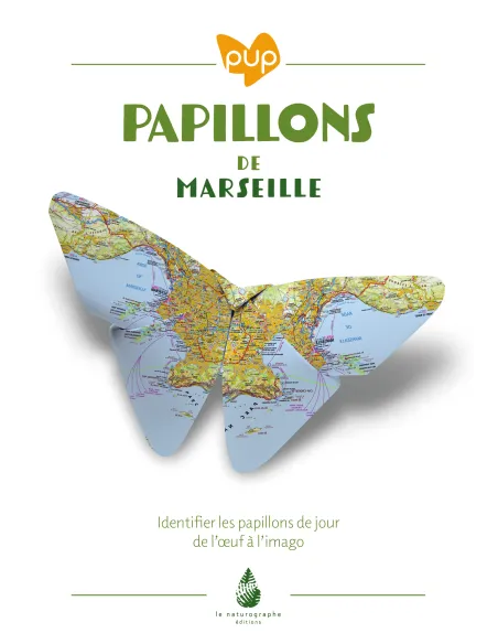 Papillons de Marseille - Identifier les papillons de jour de l'oeuf à l'imago