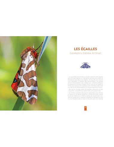 L'insecte médicinal