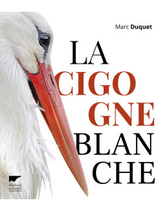 La Cigogne blanche