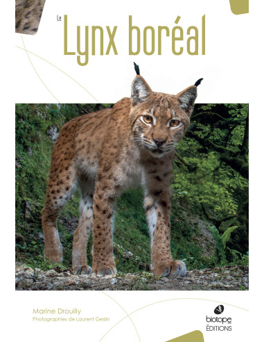 Le Lynx boréal