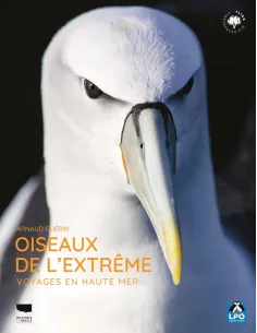 Oiseaux de l'extrême