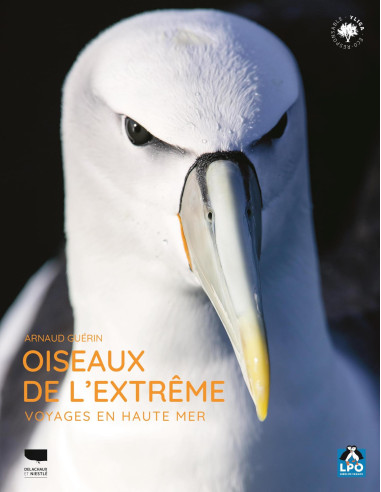 Oiseaux de l'extrême