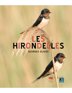 Les Hirondelles