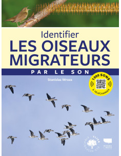 Identifier les oiseaux migrateurs par le son