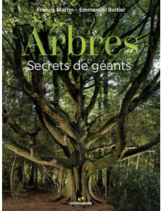 Arbres, secrets de géants