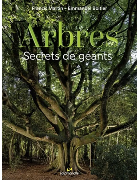 Arbres, secrets de géants