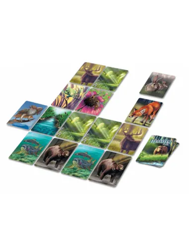 Jeu de société Ecosystème Forêt (+8 ans)