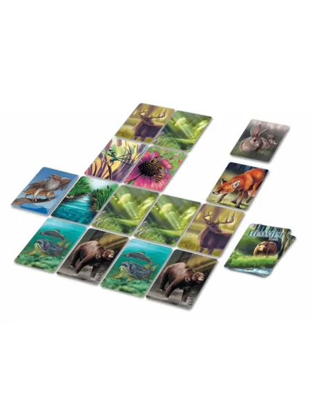 Jeu de société Ecosystème Forêt (+8 ans)