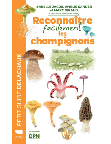 Reconnaître facilement les champignons
