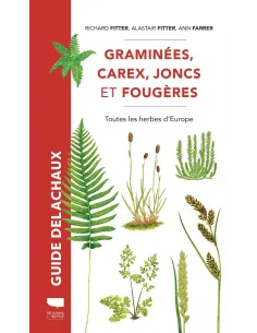 Graminées, carex, joncs et fougères