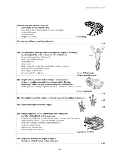 Amphibiens d'Afrique centrale et...