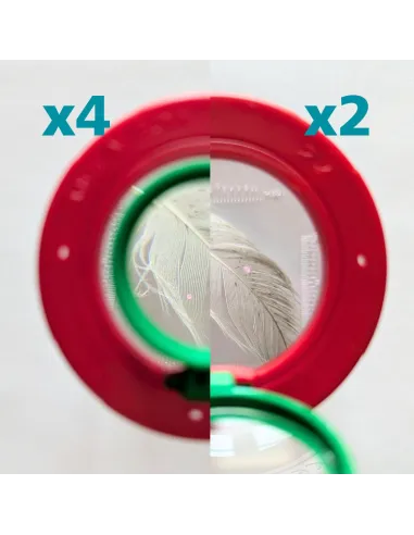 Boîte-loupe à insectes (grossissement 2x et 4x)