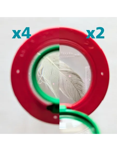 Insect magnifying box (2x and 4x magnification) - Le Club Biotope
