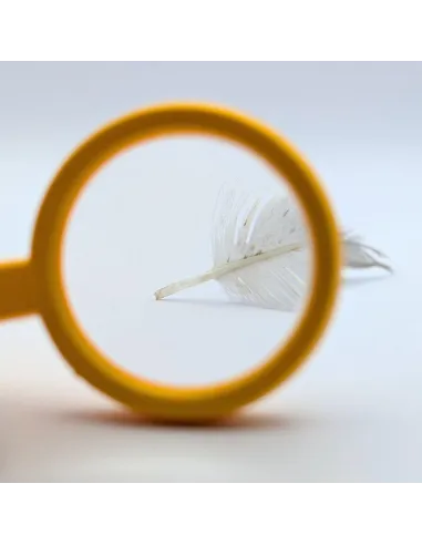 Loupe pour enfant (grossissement 4x)