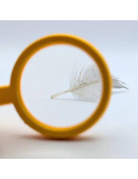 Loupe pour enfant (grossissement 4x)