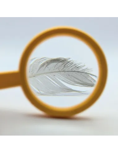 Loupe pour enfant (grossissement 4x)