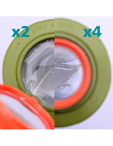 Insect magnifying glass box - Top,...