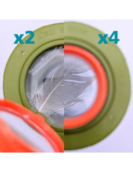 Boîte-loupe à insectes - Vue de dessus, côté et dessous (grossissement x2, x3 et x4)