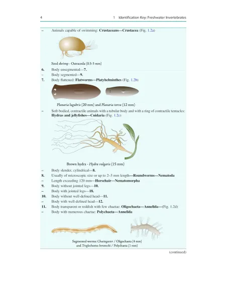 Freshwater Invertebrates in Central Europe