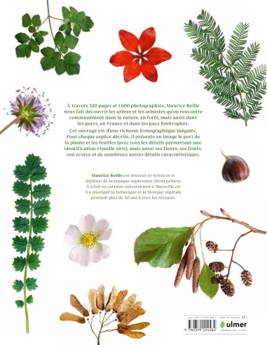 Dictionnaire visuel de botanique