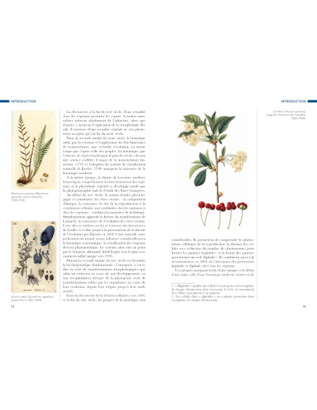 Histoire de la Botanique