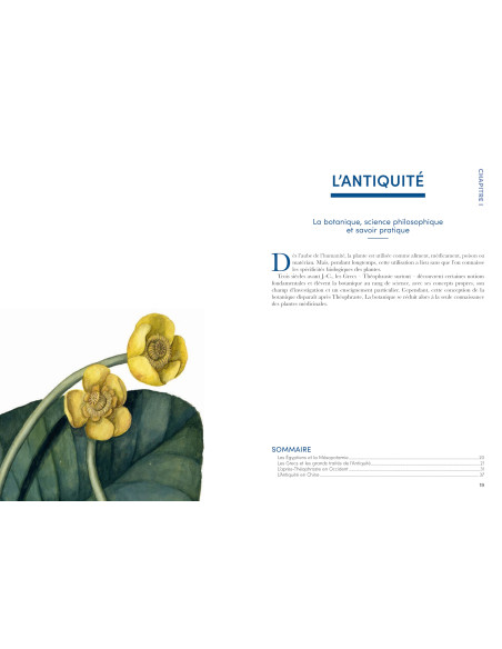 Histoire de la Botanique