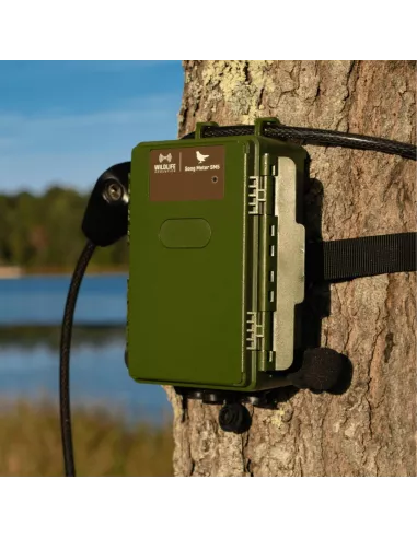 Enregistreur passif audible SM5 Wildlife Acoustics avec 3 micros intégrés
