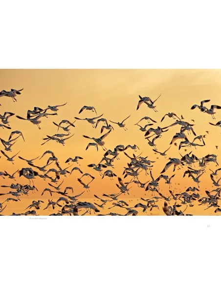 Regards naturalistes sur le Marais breton vendéen