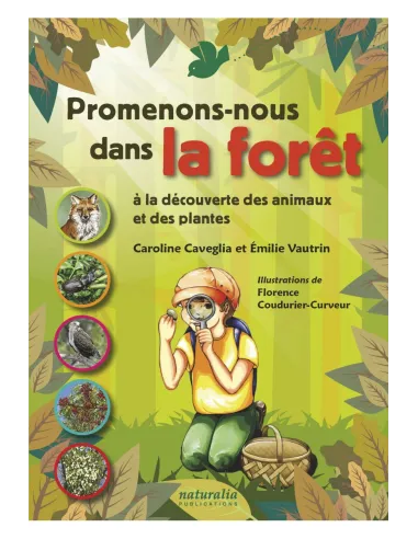 Promenons-nous dans la forêt à la...