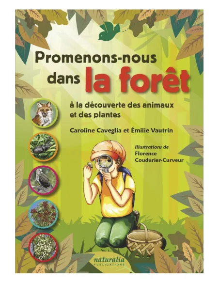 Promenons-nous dans la forêt à la découverte des animaux et des plantes
