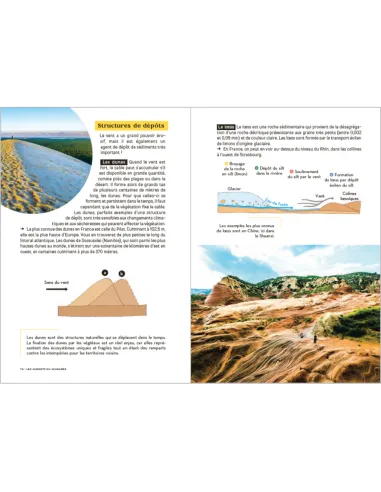 Les Carnets du Scarabée - Géologie - Guide pratique illustré pour découvrir la géologie en amateur