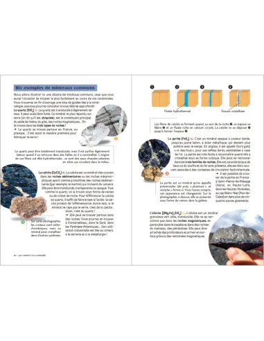 Les Carnets du Scarabée - Géologie - Guide pratique illustré pour découvrir la géologie en amateur
