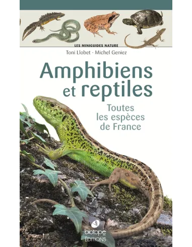 Mini-Naturführer – Amphibien und Reptilien