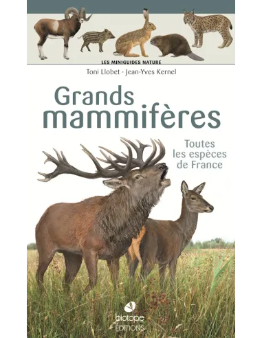 Nature Mini-Guides - Large Mammals