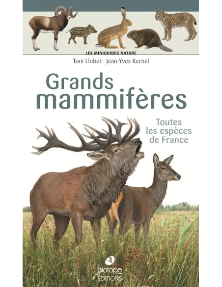 Miniguides Nature - Grands mammifères