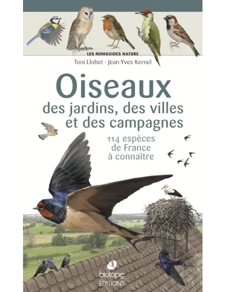 Aves de los jardines, las ciudades y el campo