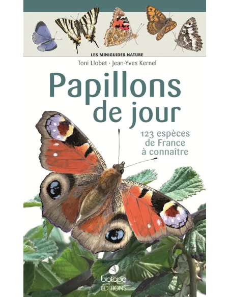 Miniguías Naturaleza - Mariposas diurnas