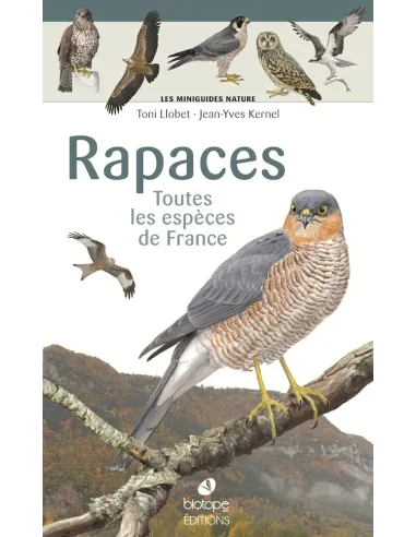 Miniguías Naturaleza - Aves rapaces