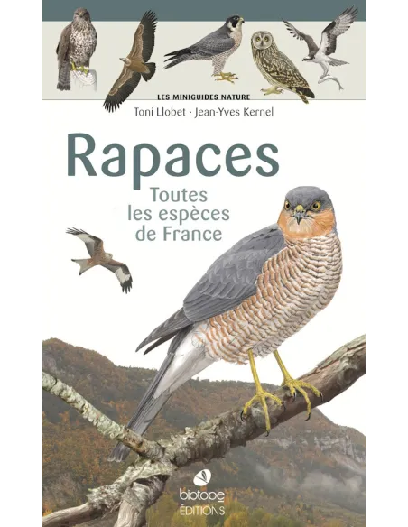 Miniguías Naturaleza - Aves rapaces