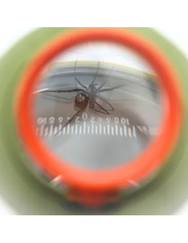 Boîte-loupe à insectes - Vue de dessus, côté et dessous (grossissement x2, x3 et x4) - Le Club Biotope