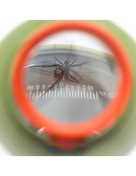 Insect magnifying glass box - Top, side and bottom view (magnification x2, x3 and x4) - Le Club Biotope