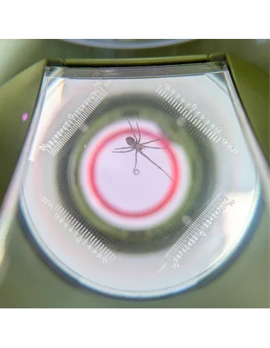 Insect magnifying glass box - Top, side and bottom view (magnification x2, x3 and x4) - Le Club Biotope