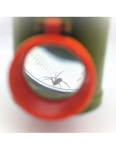 Boîte-loupe à insectes - Vue de dessus, côté et dessous (grossissement x2, x3 et x4) - Le Club Biotope