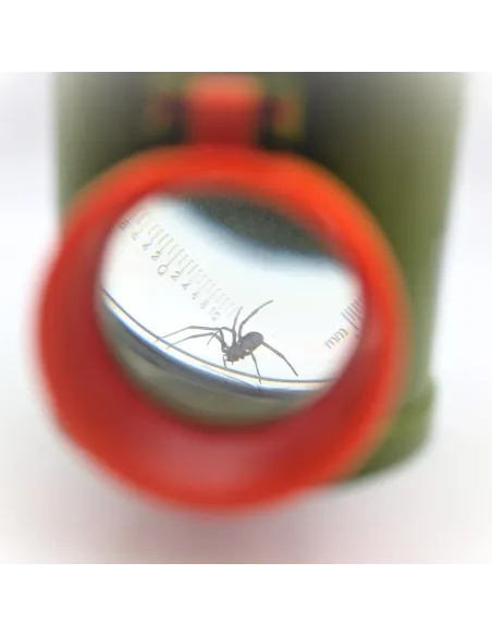Boîte-loupe à insectes - Vue de dessus, côté et dessous (grossissement x2, x3 et x4) - Le Club Biotope