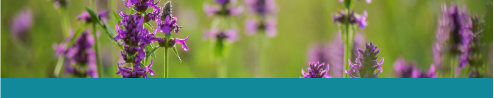 Bücher Botanik / Flora - Le Club Biotope